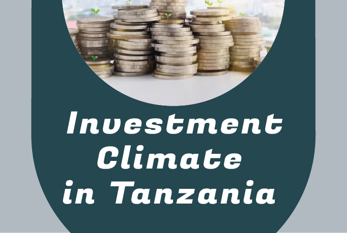 A Portrayal of the investment climate and trade policy in Tanzania